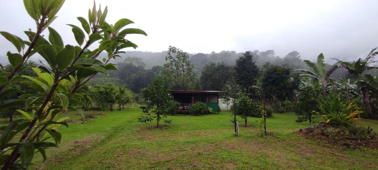 Eya Ecolodge San Isidro De El General Bagian luar foto