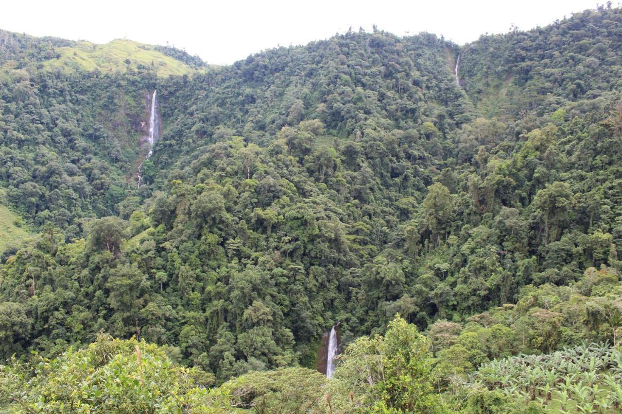 Eya Ecolodge San Isidro De El General Bagian luar foto